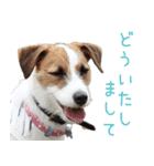 そら日和（JRT)（個別スタンプ：14）