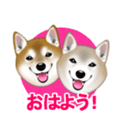 柴犬豆助元太兄弟のラインスタンプだぜ！（個別スタンプ：1）