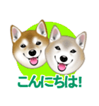 柴犬豆助元太兄弟のラインスタンプだぜ！（個別スタンプ：2）