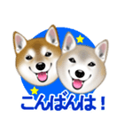 柴犬豆助元太兄弟のラインスタンプだぜ！（個別スタンプ：3）