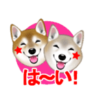 柴犬豆助元太兄弟のラインスタンプだぜ！（個別スタンプ：4）