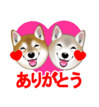 柴犬豆助元太兄弟のラインスタンプだぜ！（個別スタンプ：5）