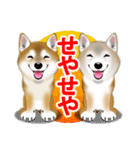 柴犬豆助元太兄弟のラインスタンプだぜ！（個別スタンプ：7）