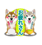 柴犬豆助元太兄弟のラインスタンプだぜ！（個別スタンプ：11）