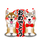 柴犬豆助元太兄弟のラインスタンプだぜ！（個別スタンプ：12）