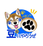 柴犬豆助元太兄弟のラインスタンプだぜ！（個別スタンプ：13）