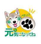 柴犬豆助元太兄弟のラインスタンプだぜ！（個別スタンプ：14）