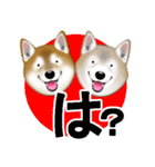 柴犬豆助元太兄弟のラインスタンプだぜ！（個別スタンプ：18）