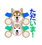 柴犬豆助元太兄弟のラインスタンプだぜ！（個別スタンプ：20）