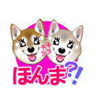 柴犬豆助元太兄弟のラインスタンプだぜ！（個別スタンプ：21）