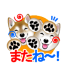 柴犬豆助元太兄弟のラインスタンプだぜ！（個別スタンプ：24）