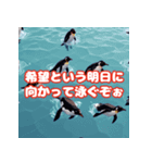 ぺんぺんペンギンたち（個別スタンプ：6）