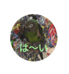 はよ帰っといで〜（個別スタンプ：1）