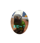 はよ帰っといで〜（個別スタンプ：2）