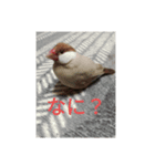 はよ帰っといで〜（個別スタンプ：4）