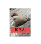 はよ帰っといで〜（個別スタンプ：6）