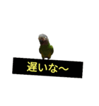 はよ帰っといで〜（個別スタンプ：7）