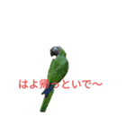 はよ帰っといで〜（個別スタンプ：8）