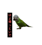 はよ帰っといで〜（個別スタンプ：9）