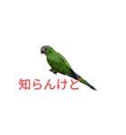 はよ帰っといで〜（個別スタンプ：11）