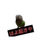 はよ帰っといで〜（個別スタンプ：13）