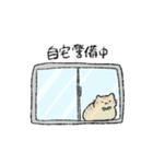 ちゃとらの日常（個別スタンプ：6）