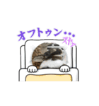 ちょっと動くウサギ2羽（個別スタンプ：12）