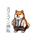 社畜な柴犬【日常会話・おもしろい】（個別スタンプ：19）