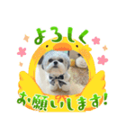 家族のロンちゃん（個別スタンプ：7）