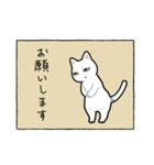 表情筋が死んだ猫（個別スタンプ：4）