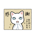 表情筋が死んだ猫（個別スタンプ：10）