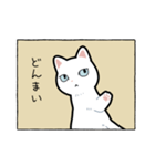 表情筋が死んだ猫（個別スタンプ：14）