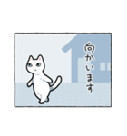 表情筋が死んだ猫（個別スタンプ：34）