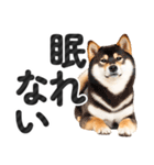 【デカ文字】柴犬写真のシンプルなスタンプ（個別スタンプ：37）