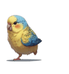 AI・インコ(言葉なし)（個別スタンプ：3）