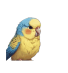 AI・インコ(言葉なし)（個別スタンプ：6）