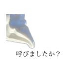 ソフトな対応ソフトスタンプ（個別スタンプ：21）