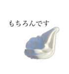 ソフトな対応ソフトスタンプ（個別スタンプ：34）