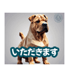 犬のスタンプ2(YaMaTo版)（個別スタンプ：23）