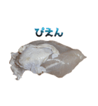 使いやすい鶏むね肉（個別スタンプ：21）