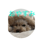 メプの日常（個別スタンプ：4）