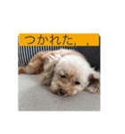 メプの日常（個別スタンプ：6）