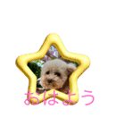 メプの日常（個別スタンプ：7）