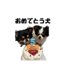 くうここシーズン2（個別スタンプ：1）