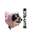 くうここシーズン2（個別スタンプ：3）