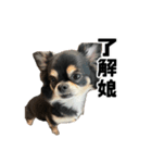 くうここシーズン2（個別スタンプ：5）