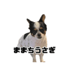 くうここシーズン2（個別スタンプ：6）