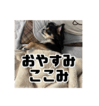 くうここシーズン2（個別スタンプ：7）