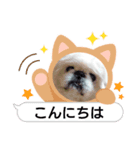 可愛い笑顔挨拶（個別スタンプ：1）