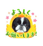 可愛い笑顔挨拶（個別スタンプ：3）
